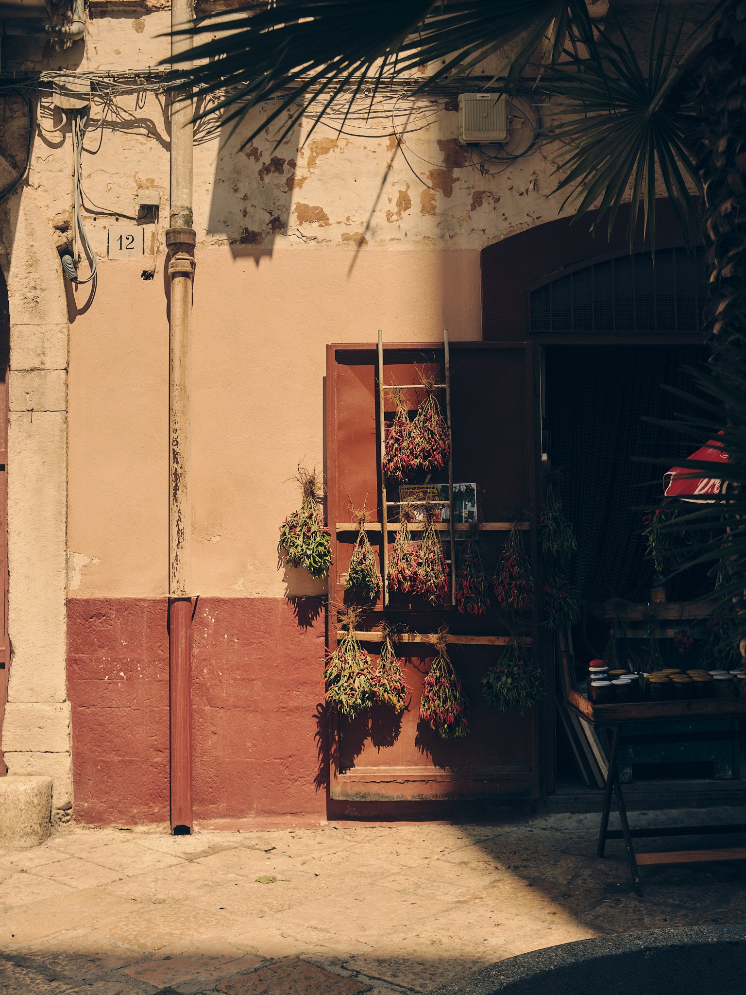 Chilis in Puglia
