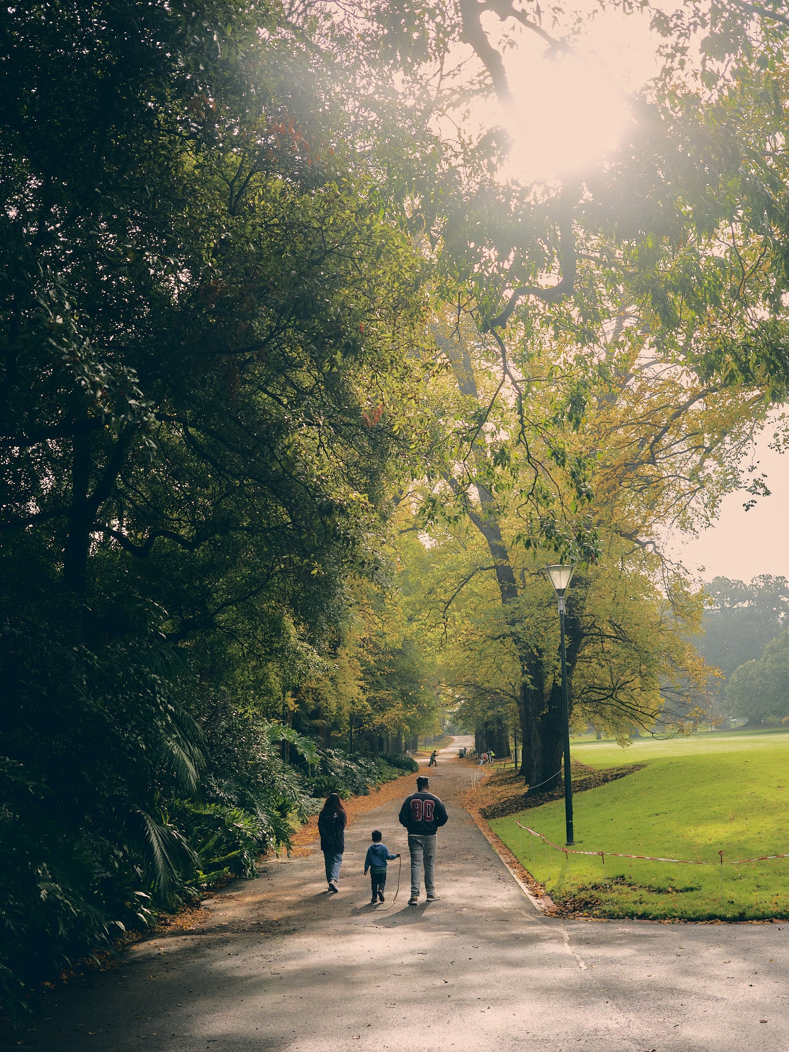 Sunday Stroll