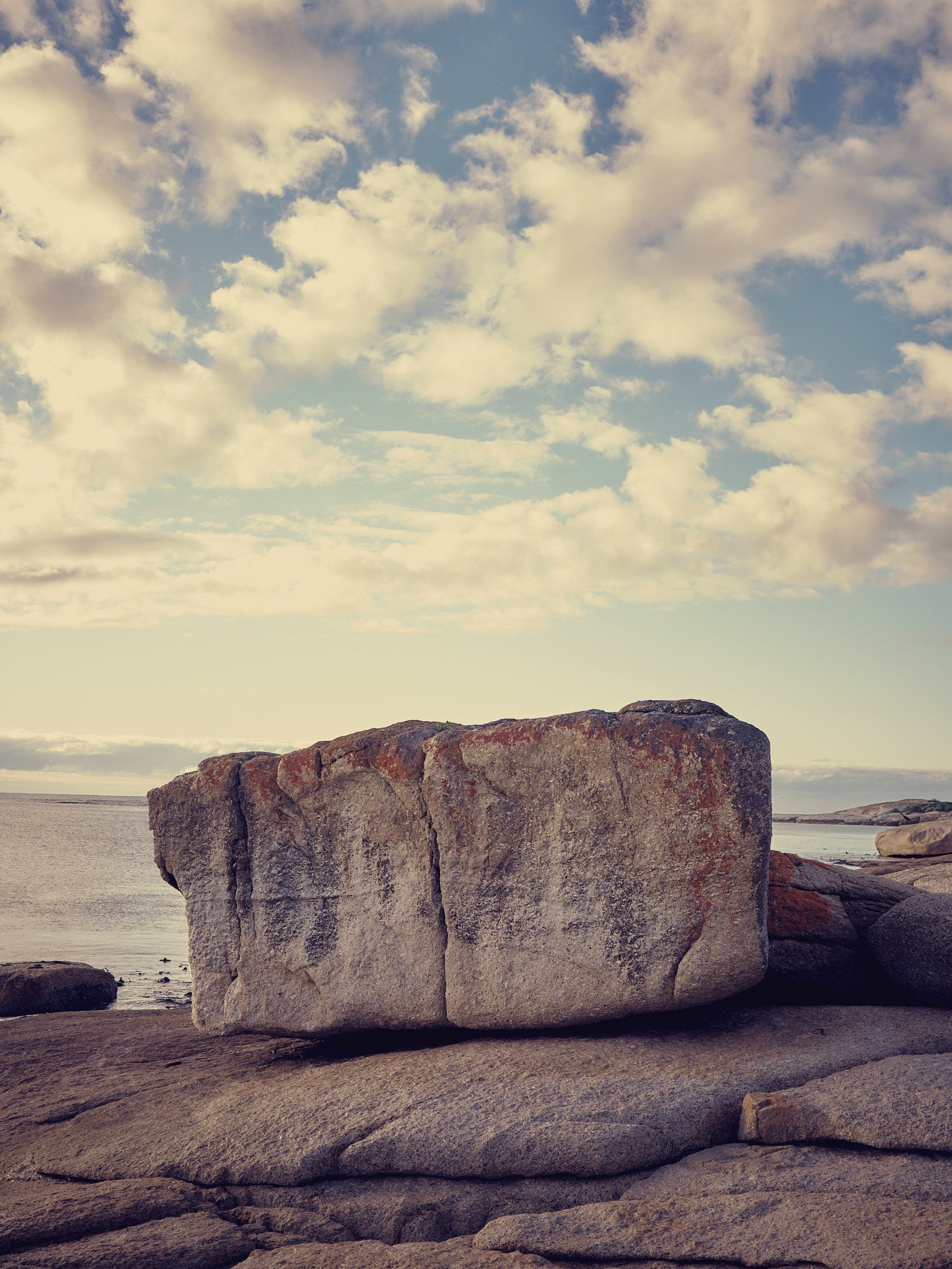 Tasmanian Rock
